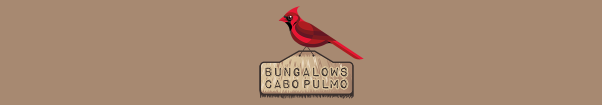 Bungalows Cabo Pulmo